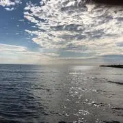 ウェイランド・ユタニの画像