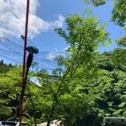 drumandの画像