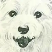 Pon〜評価10以下→購入前コメント必須の画像
