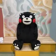 くまモン♡の画像