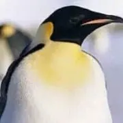 ゆきんこ☆