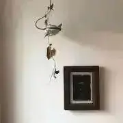 ゆずの画像