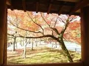 mの画像