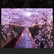 ミリオン
