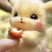 ぴのの画像