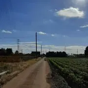りり