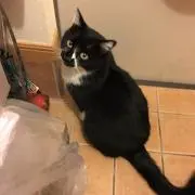 ちー♡の画像