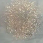 YUの画像