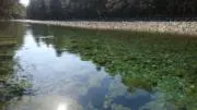 マルの画像