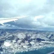 kuruの画像