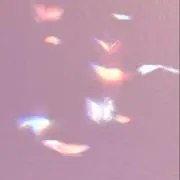 米の画像