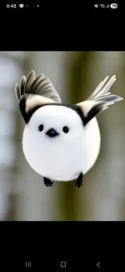 ボブ