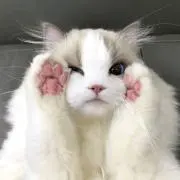 nanaの画像