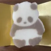 ぱんだ【プロフィール必読】の画像