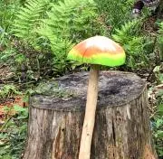 ヒカップス★即日発送★
