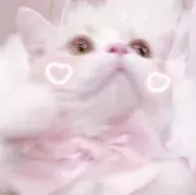 ゆめの画像