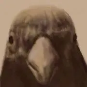 ジュウシマツ住職