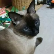 エリン