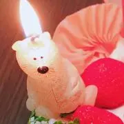 チャッピーの画像