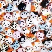 nekonoteプロフご確認下さいの画像
