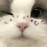 かおりんの画像