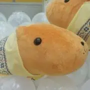 こぶさん☆の画像