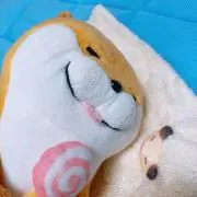 カワウソ0814の画像
