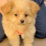 ☆sachi☆