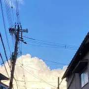 おりんの画像