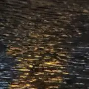 TYの画像