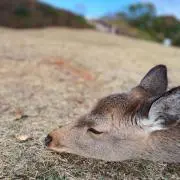あ