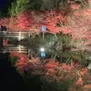 masaの画像
