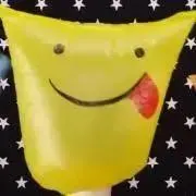 リーの画像