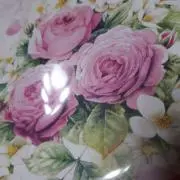 智香の画像