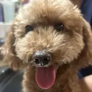 みの画像