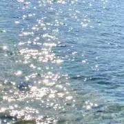 chiの画像