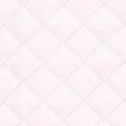 Rの画像