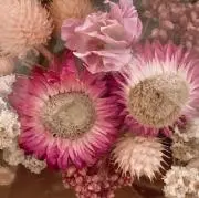 H.Kの画像