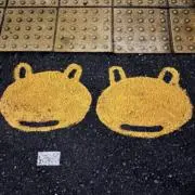 ひとの画像