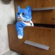 ドラえもんの画像