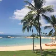 Laniの画像