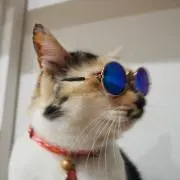 かずぽん　プロフ必読！の画像