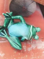 みーんの画像