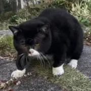 もんた✨プロフ必読✨の画像