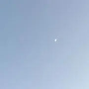 ろってぃの画像