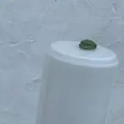 ナスサムライ