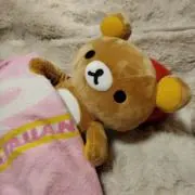 donの画像