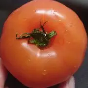 あん。の画像