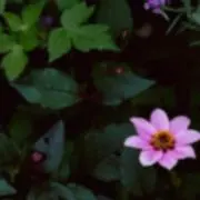 photobkの画像