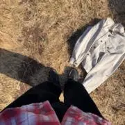 sunの画像